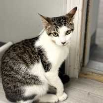 Thumbnail photo of Jr. #3