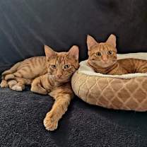 Thumbnail photo of Perry #3