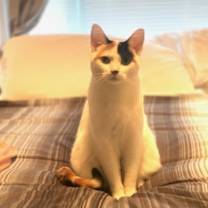 Thumbnail photo of Joy #1