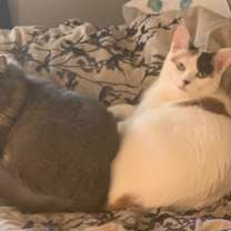 Thumbnail photo of Joy #3