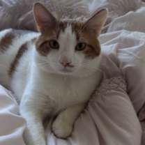 Thumbnail photo of Nigel #1