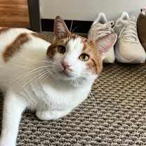 Thumbnail photo of Nigel #2