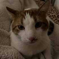 Thumbnail photo of Nigel #3