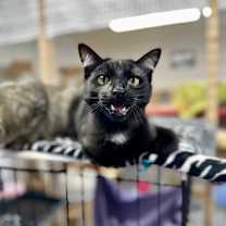 Thumbnail photo of Spot #3