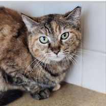 Thumbnail photo of Lilly #2