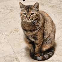 Thumbnail photo of Lilly #4