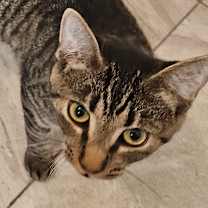 Thumbnail photo of Kimi #3