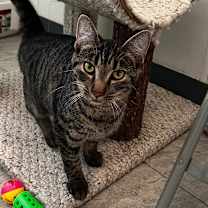 Thumbnail photo of Kimi #4