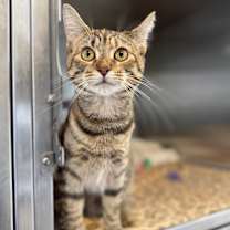 Thumbnail photo of Squash #3