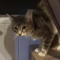 Thumbnail photo of Sugar #2