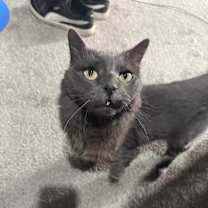 Thumbnail photo of Jasmine #2