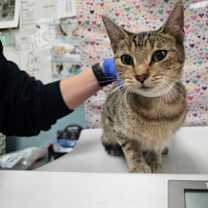 Thumbnail photo of Pretty Girl #2