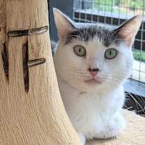 Thumbnail photo of Libby #2