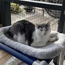 Thumbnail photo of Libby #3