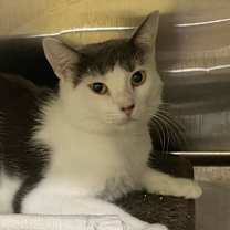 Thumbnail photo of Libby #4