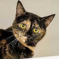 Thumbnail photo of Lucinda #1