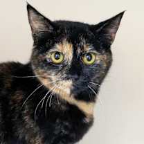 Thumbnail photo of Lucinda #2