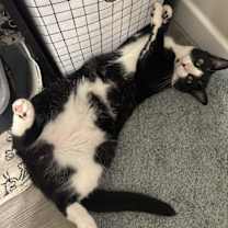 Thumbnail photo of Posey #1