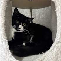 Thumbnail photo of Summer #1