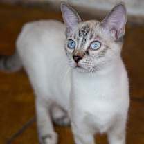 Thumbnail photo of Mimi (& Gigi) #3