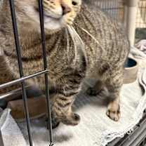 Thumbnail photo of Kim #2