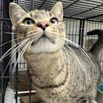 Thumbnail photo of Kim #3