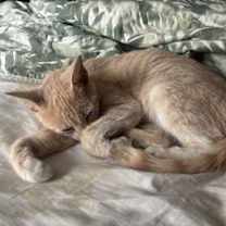 Thumbnail photo of Momma #3