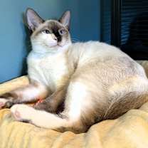 Thumbnail photo of Nairobi #3