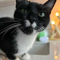 Thumbnail photo of Lucy #1