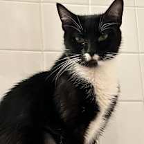 Thumbnail photo of Lucy #2