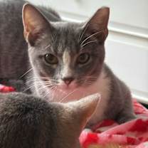 Thumbnail photo of Lucy #1