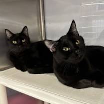 Thumbnail photo of Ian #4