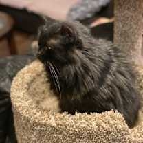 Thumbnail photo of Stevie Budd #2