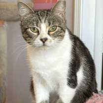 Thumbnail photo of Mariah #2