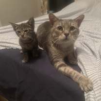 Thumbnail photo of Gandalf #2