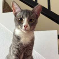 Thumbnail photo of Barry #1