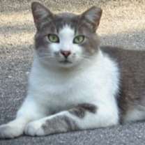 Thumbnail photo of Cloudy #3