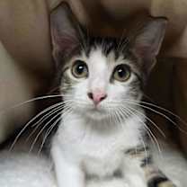 Thumbnail photo of Big John #2