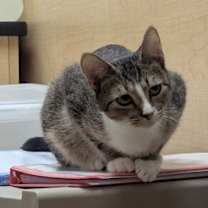 Thumbnail photo of Adriane #3