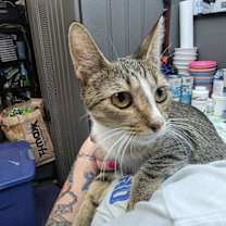 Thumbnail photo of Adriane #4