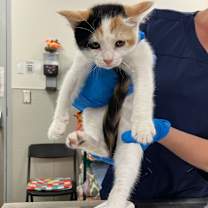 Thumbnail photo of Julianne #2