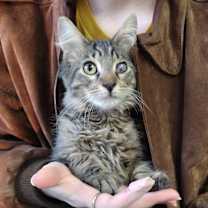 Thumbnail photo of Marie Laveau #1