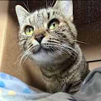 Thumbnail photo of Delphine #3