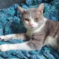 Thumbnail photo of Stormy #1