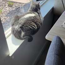 Thumbnail photo of Betty #4