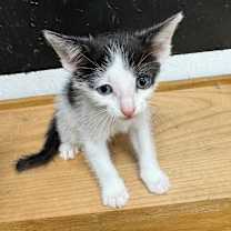 Thumbnail photo of River JG #3