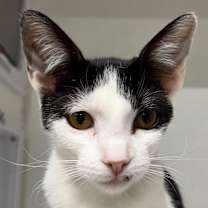 Thumbnail photo of River JG #1