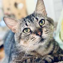 Thumbnail photo of Alan #1