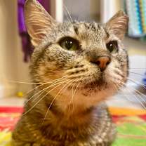 Thumbnail photo of Alan #2