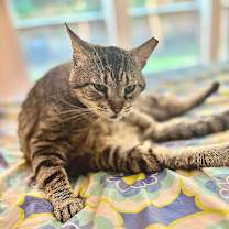 Thumbnail photo of Alan #4